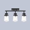 3 Light Black Wall Sconces Bathroom Vanity Lighting Fixture with Clear Glass Shade Classic Spotlight Fixture with Rotatable Light Head Metal Ceiling L